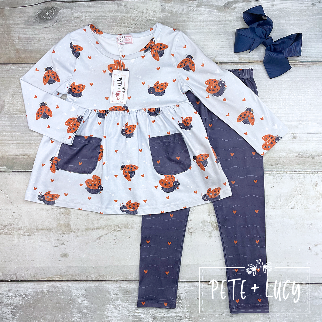 Ladybug Set